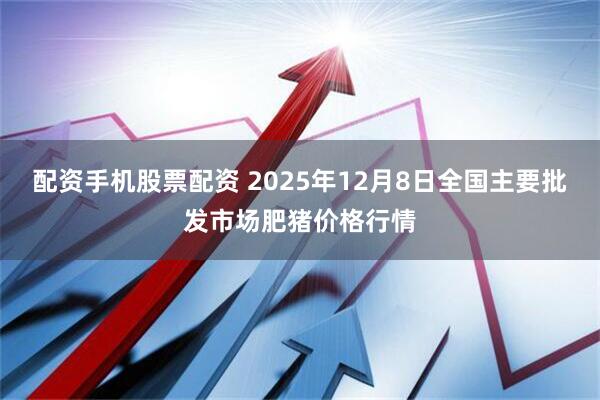 配资手机股票配资 2025年12月8日全国主要批发市场肥猪价格行情