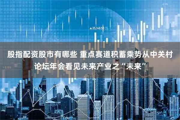 股指配资股市有哪些 重点赛道积蓄乘势从中关村论坛年会看见未来产业之“未来”