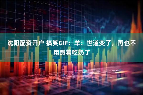 沈阳配资开户 搞笑GIF：羊：世道变了，再也不用跪着吃奶了