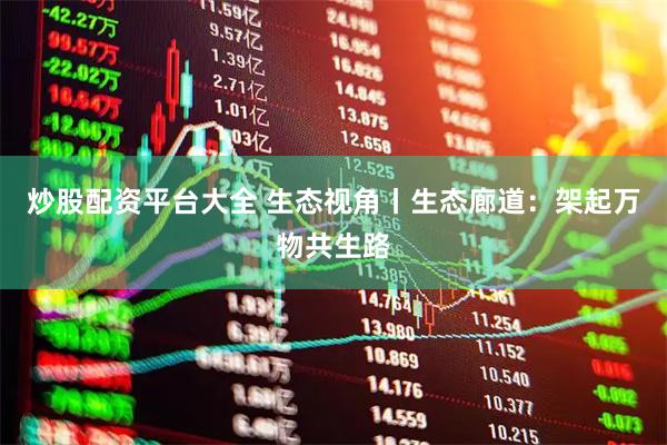 炒股配资平台大全 生态视角丨生态廊道：架起万物共生路