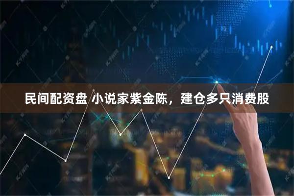 民间配资盘 小说家紫金陈，建仓多只消费股